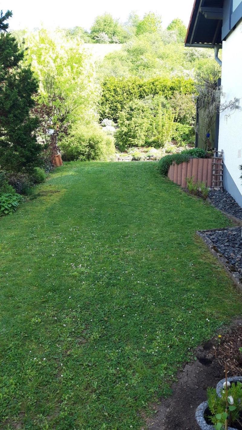Fewo Hexamer Monzingen Exterior photo